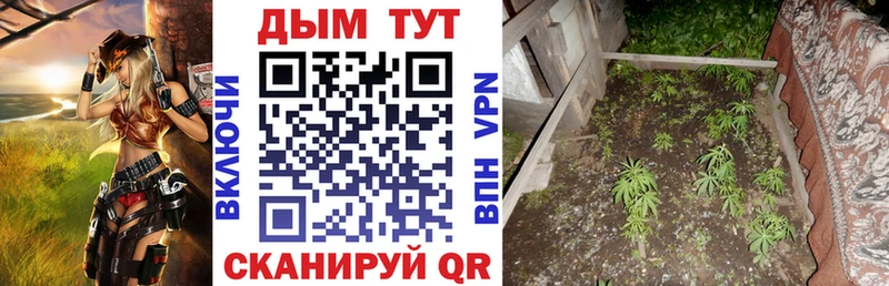 Конопля гибрид  что такое   МЕГА зеркало  Рузаевка 